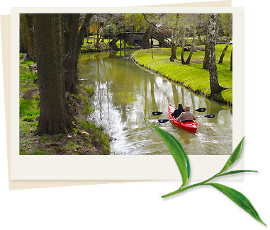 Paddeltour durch den Spreewald