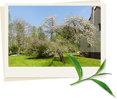 Spreewaldhof Schupan im Frühling