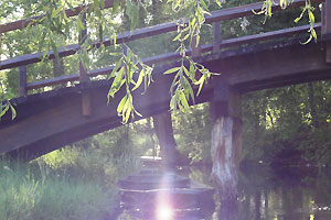 Verzauberte Stimmung an einer Brücke über einen Fließ